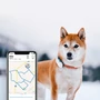 Kép 4/7 - Tractive GPS Kutya Nyomkövető