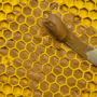Kép 3/4 - SodaPup Emat Honey
