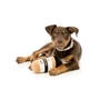 Kép 2/3 - FuzzYard Puppuccino plüssjáték