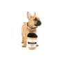 Kép 3/3 - FuzzYard Puppuccino plüssjáték