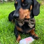Kép 3/4 - JR Pet Products - 100% Kacsa húsrolád