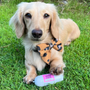 Kép 3/4 - JR Pet Products - 100% Marha húsrolád
