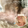 Kép 5/6 - Natural Dog Company - Skin Soother - Bőrápoló stick 4,5 ml - sebes, kiütéses, allergiás bőrre, hot-spot-ra