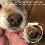 Kép 5/6 - Natural Dog Company - Snout Soother - Orrápoló stick 4,5 ml - repedezett, száraz orra