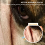 Kép 2/5 - Natural Dog Company - Wrinkle Balm - Bőrredő stick 4,5 ml - kipirosodott, irritált bőrredő ellen