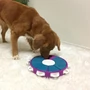 Kép 5/6 - Nina Ottosson Dog Twister - logikai játék (3. szint)